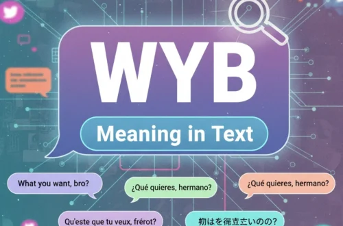 wyb meaning in text